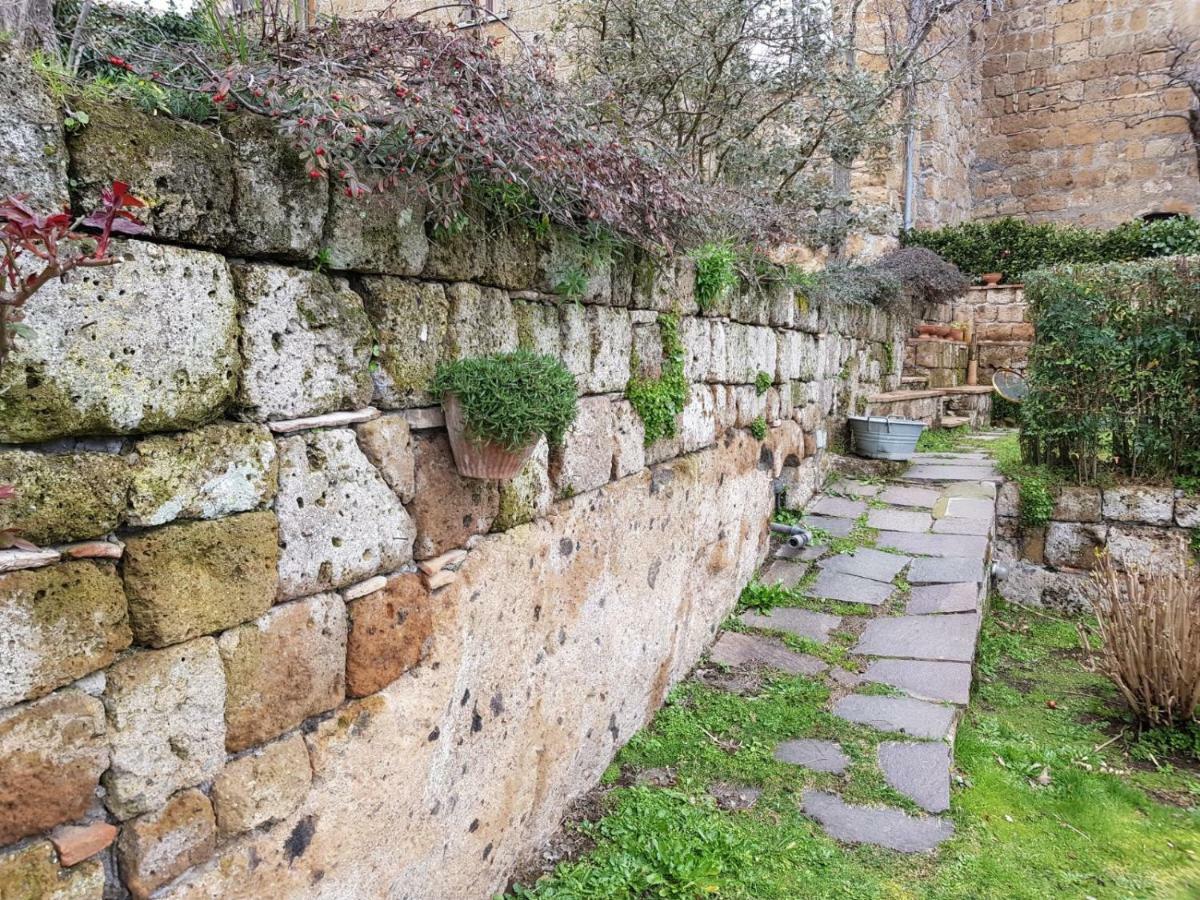 Domus Bononiae *