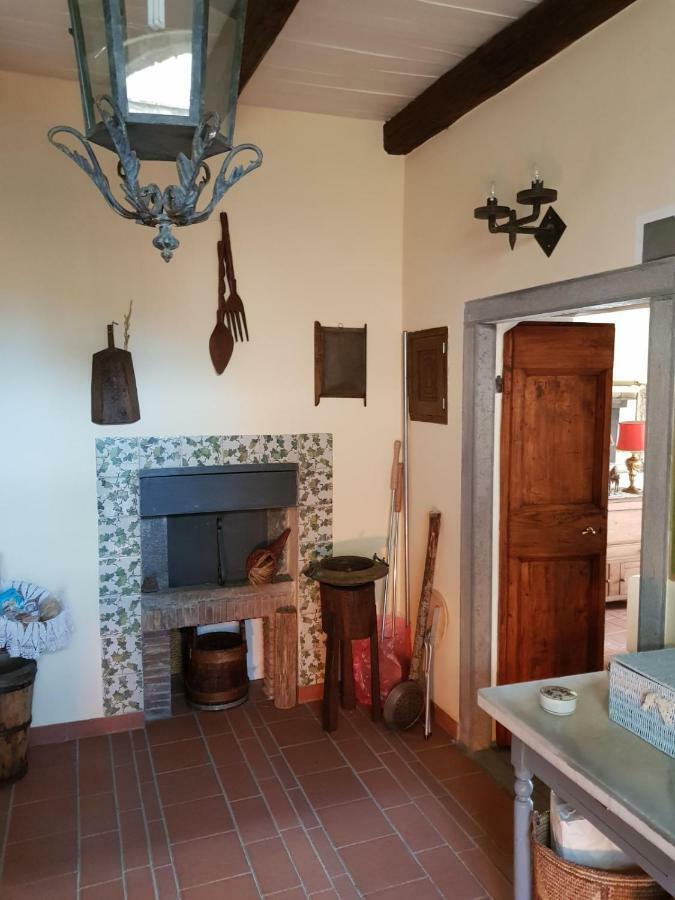 Domus Bononiae * Bagnoregio